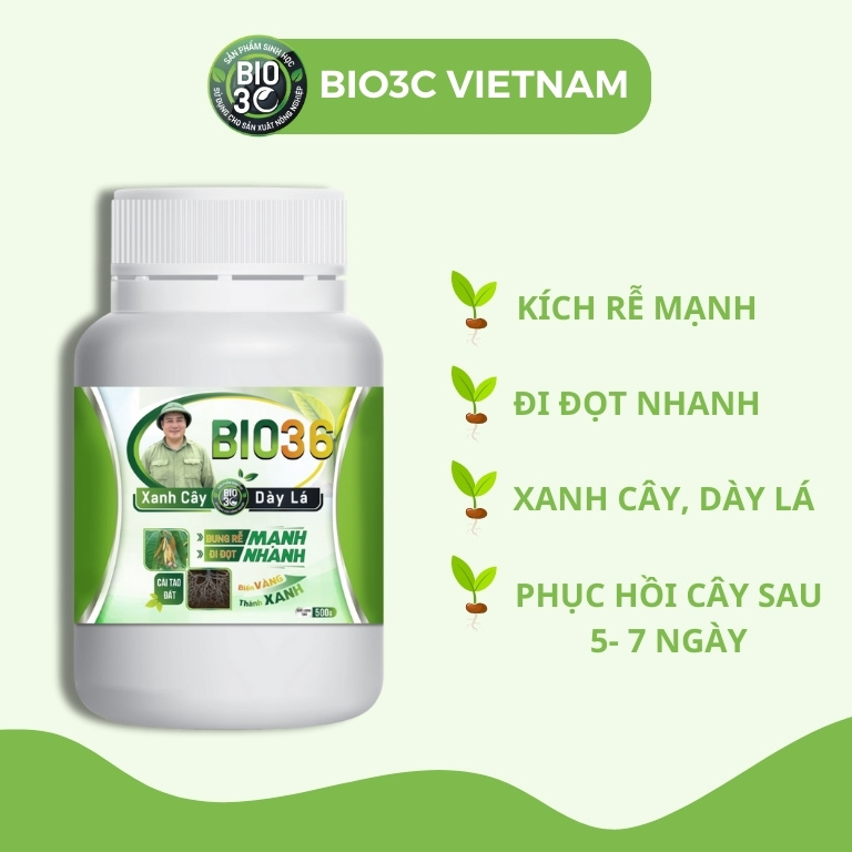 Phân bón BIO36 Kích Rễ