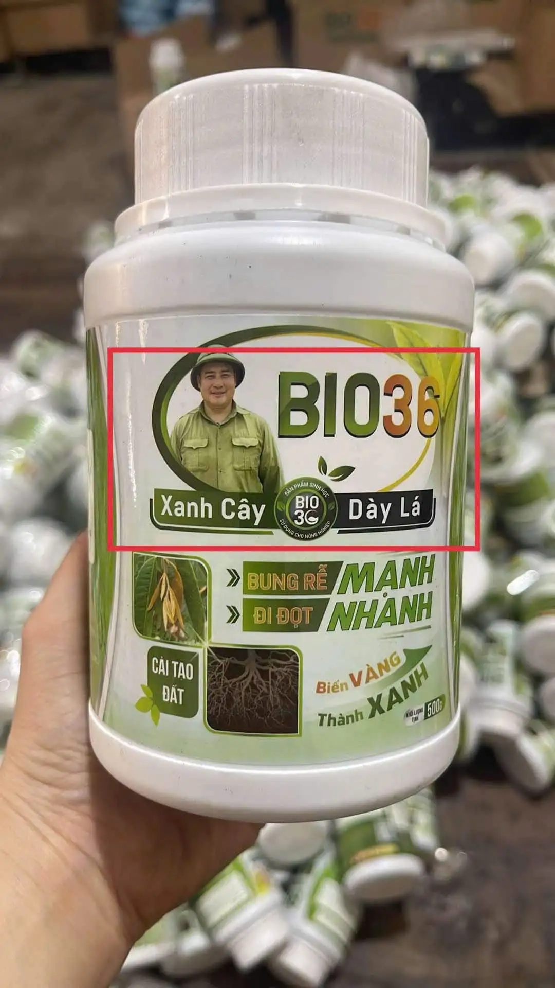 Bio 36 Chính Hãng